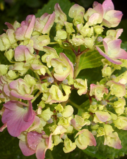 img07.jpg
