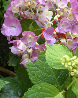img08.jpg