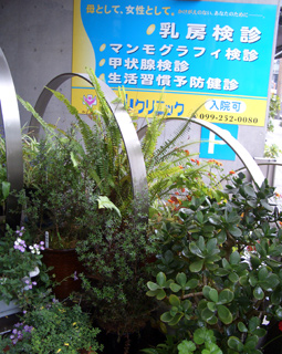 img13.jpg