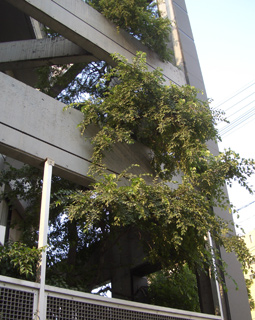 img14.jpg